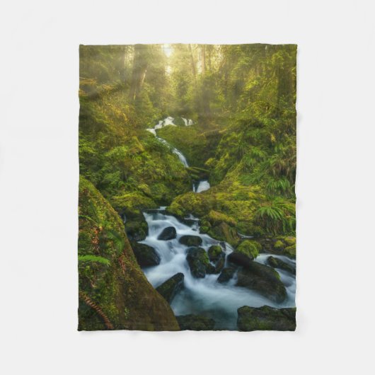 Waterfalls | Olympic National Park, Washington フリースブランケット (正面)