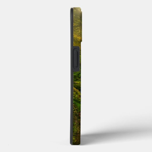 Waterfalls | Olympic National Park, Washington Case-Mate iPhoneケース (裏面 / 右)