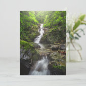 Waterfalls | Phayao Mountain National Park サンキューカード (スタンド正面)