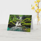 Waterfalls | Phu Tub Berk Mountain, Thailand カード (黄色い花)