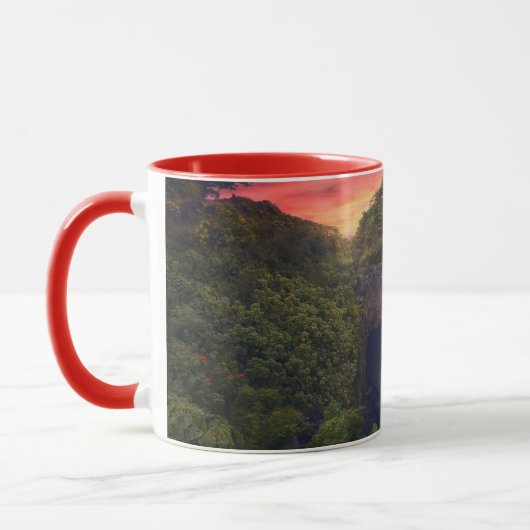 Waterfalls | Rainbow Falls, Hilo, Hawaii マグカップ (左)