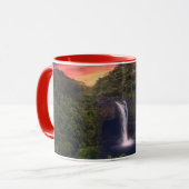 Waterfalls | Rainbow Falls, Hilo, Hawaii マグカップ (正面左)