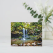 Waterfalls | Smokey Mountain National Park ポストカード (スタンド正面)