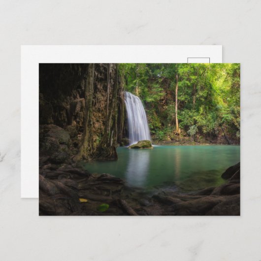 Waterfalls | Spring Rainforest Waterfall Thailand ポストカード (正面/裏面)
