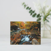 Waterfalls | Takaragawa Onsen Osenkaku, Japan ポストカード (スタンド正面)