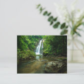 Waterfalls | Tamnung Waterfall, Phuket Thailand ポストカード (スタンド正面)