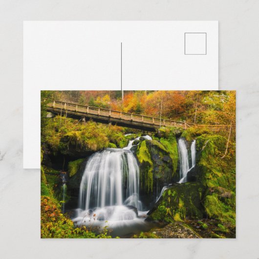 Waterfalls | Triberg Waterfalls, Germany ポストカード (正面/裏面)