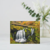 Waterfalls | Triberg Waterfalls, Germany ポストカード (スタンド正面)