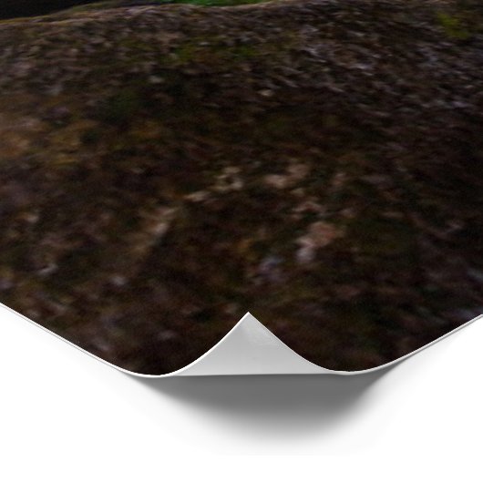 Waterfalls | Triberger Wasserfälle, Germany ポスター (角)