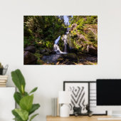 Waterfalls | Triberger Wasserfälle, Germany ポスター (ホームオフィス)