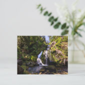 Waterfalls | Triberger Wasserfälle, Germany ポストカード (スタンド正面)