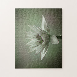 Waterlily green tone puzzle ジグソーパズル