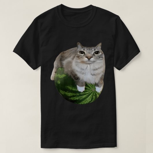 Watermelon Cat | Funny Meme Kitty Art Tシャツ (デザイン正面)