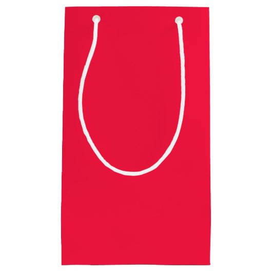 Watermelon Pink Solid Color スモールペーパーバッグ (正面)