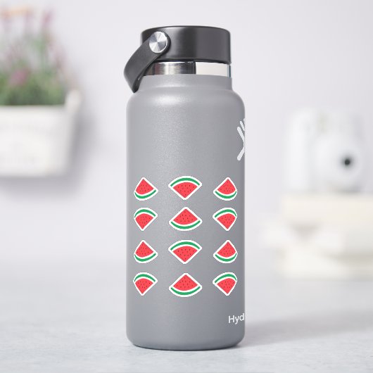 Watermelon Wedge Sticker Pack シール (HydroFlask)