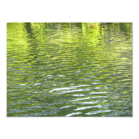 Waters of Oak Creek黄色と緑の自然写真 フォトプリント (正面)