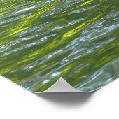 Waters of Oak Creek黄色と緑の自然写真 ポスター (角)