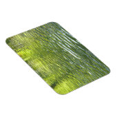 Waters of Oak Creek黄色と緑の自然写真 マグネット (右側)