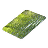 Waters of Oak Creek黄色と緑の自然写真 マグネット (左側)