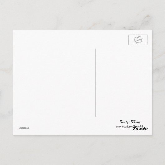 Watkinsの谷間、NY ポストカード (裏面)