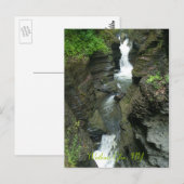 Watkins Glen, NY, Photo by: ... ポストカード (正面/裏面)