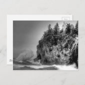 wave-10295 ポストカード (正面/裏面)