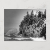 wave-10295 ポストカード (正面)