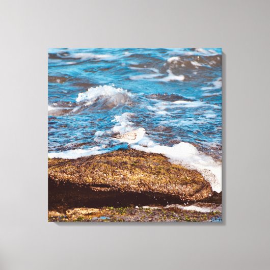 Waves on Rocky Coast shore Ocean Canvas キャンバスプリント (正面)
