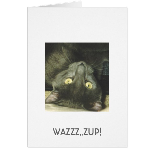 WAZZZ. .ZUP! (正面)