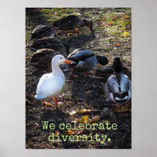 We 祝 Diversity Posterプリント ポスター