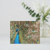 「We Are 誇りを持った Of You」ピーコック写真 ポストカード (スタンド正面)