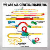 We Are All Genetic Engineers (Gene Splicing) ポスター (正面)