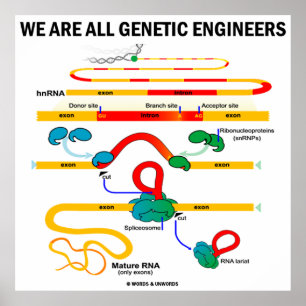 We Are All Genetic Engineers (Gene Splicing) ポスター