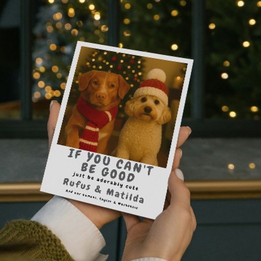 We Are on The Naughty List Dog Christmas Photo シーズンカード