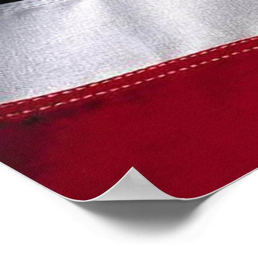 We the People...Barack Obama & the Constitution ポスター (角)