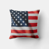 We The Silly Geese 250th Funny Celebration クッション (裏面)