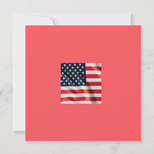 We The Silly Geese 250th Funny Celebration 招待状 (裏面)