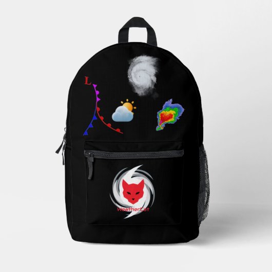 Weather Backpack プリントバックパック (正面)