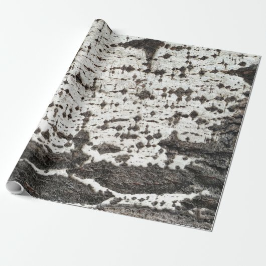 Weathered birch trunk ラッピングペーパー (アンロールド)