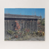 Weathered Shed with Encroaching Green ジグソーパズル (横)