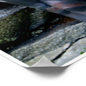 Weathered Swiss Pine by Johannes Stötter ポスター (角)