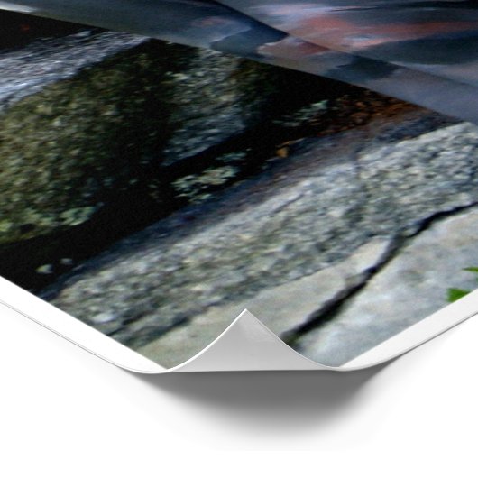 Weathered Swiss Pine by Johannes Stötter ポスター (角)