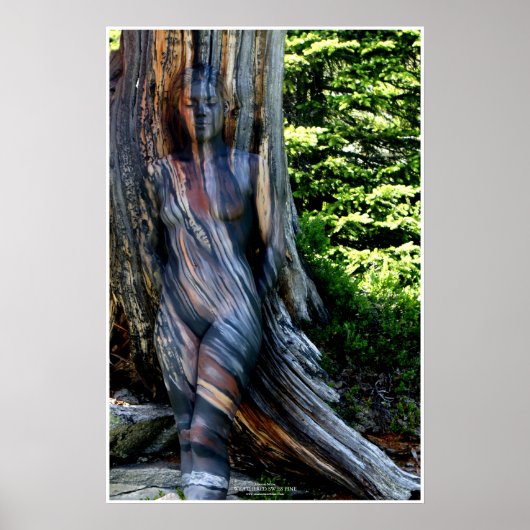 Weathered Swiss Pine by Johannes Stötter ポスター (正面)