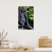 Weathered Swiss Pine by Johannes Stötter ポスター (キッチン)