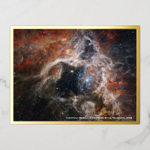 Webb Tarantula Nebulaイメージ、ゴールドフォイルポストカード 箔シーズンポストカード