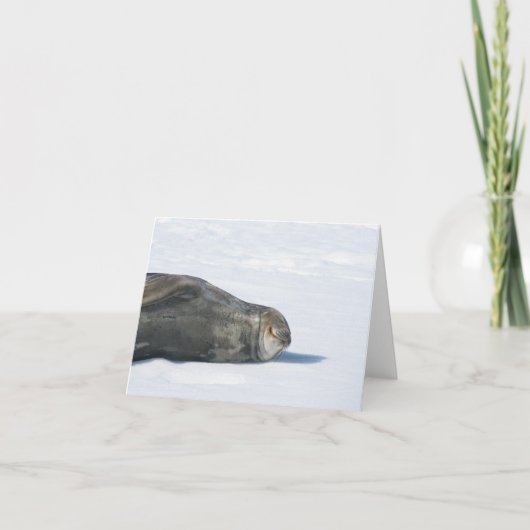 Weddellシールカード シーズンカード (正面)