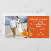 Wedding Bird of Paradise Budget Photo Thank Cards サンキューカード (正面)