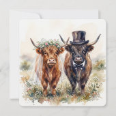 Wedding Bride and Groom Highland Cows 招待状 (正面)