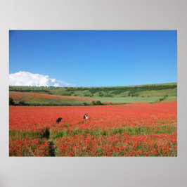 Wedding photo in a field of Red Poppies ポスター