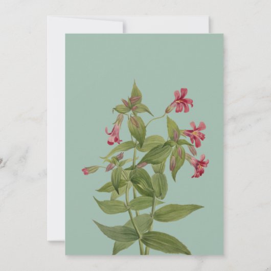 Wedding Reception Invitations  招待状 (裏面)